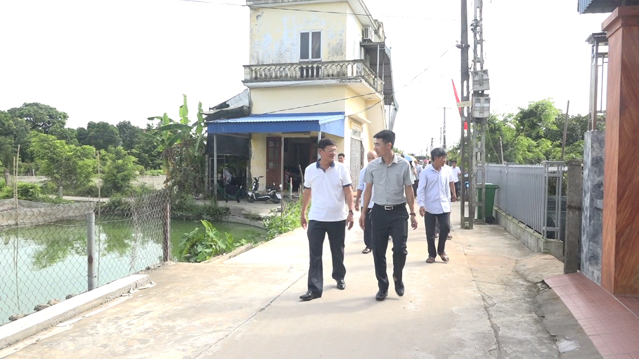 anh tin bai